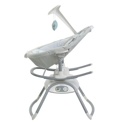 그라코 [아마존베스트]Graco Duet Glide Gliding Swing with Portable Rocker, Winfield