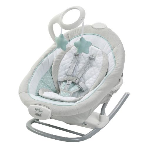 그라코 [아마존베스트]Graco Duet Glide Gliding Swing with Portable Rocker, Winfield