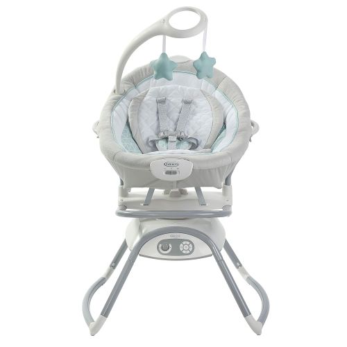 그라코 [아마존베스트]Graco Duet Glide Gliding Swing with Portable Rocker, Winfield