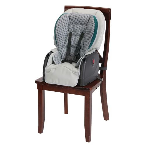 그라코 [아마존베스트]Graco Blossom 6 in 1 Convertible High Chair, Sapphire