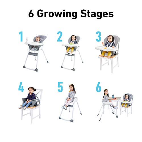 그라코 Graco Made2Grow 6 in 1 High Chair Converts to Dining Booster Seat, Youth Stool, and More, Monty