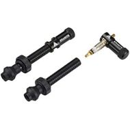 [아마존베스트]Granite Juicy Nipple Valve Cap and Presta Valve Stem Set