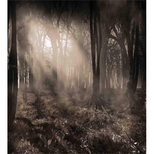  GreaBen Full Bedding Sets for Boys,Gothic Duvet Cover Set,Photo of Dark Forest Scenery with Sunbeams and Fog Vintage Nostalgic Colors Fantasy Art,1 Flat Sheet 1 Fitted Sheet and 2