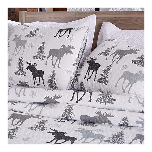  Lodge Bedspread Twin Size Kid's Quilt Set with 1 Sham. Cabin 2- Piece Reversible All Season Quilt Set. Rustic Quilt Coverlet Bed Set. Wilderness Collection (Moose - Grey)