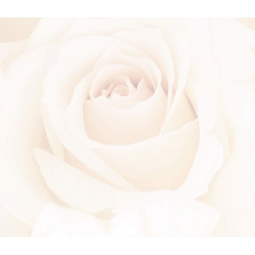  Great Papers! Blush Roses Letterhead, 80 Count, 8.5x11 (2014334)