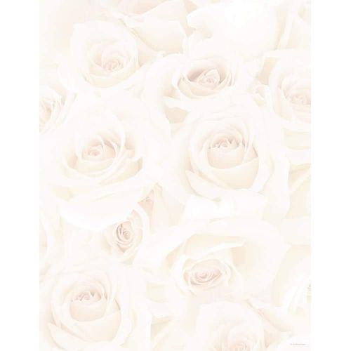  Great Papers! Blush Roses Letterhead, 80 Count, 8.5x11 (2014334)