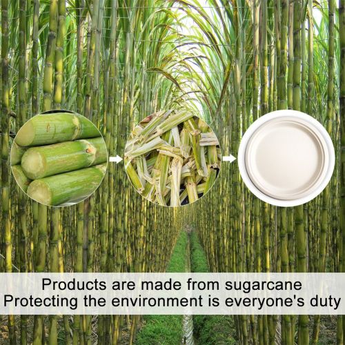  Green Earth - Natural Bagasse (Sugarcane Fiber) Tree Free 10 Paper Plate / Biodegradable / Compostable (500 Counts Disposable Plates）