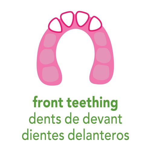  [아마존베스트]Green sprouts green sprouts Cooling Teether | Soothes Gums & Promotes Healthy Oral Development | Safer Plastic...