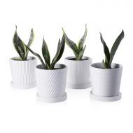 Greenaholics Plant Pots - 5.1 Inch Cylinder Ceramic Planters with Connected Saucer, Pots for Succuelnt and Little Snake Plants, Set of 4, White