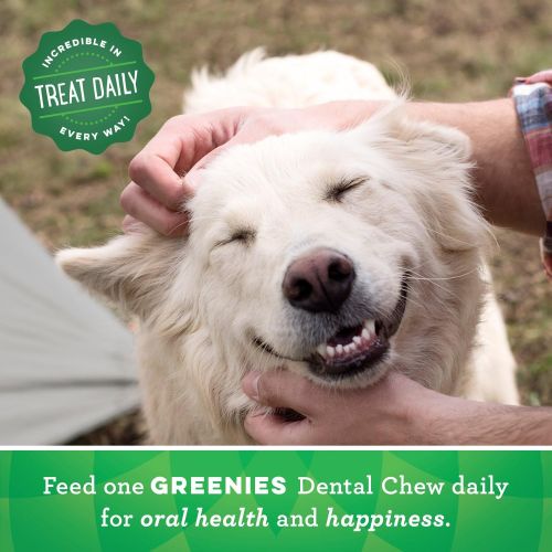  Greenies Original Regular Size Natural Dental Dog Treats
