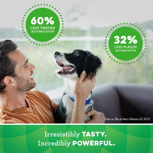 Greenies Dog Dental Chews Dog Treats - Petite Size (15-25 lb Dogs)
