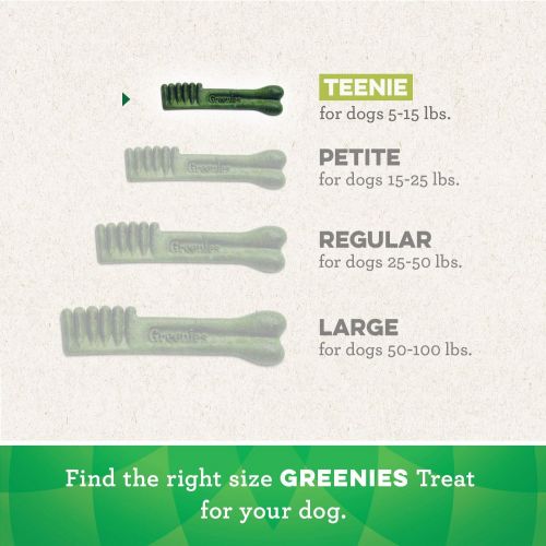  Greenies Teenie Dental Dog Treats, Flavor Variety Pack (216 Treats)