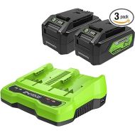 Greenworks 24V 4.0Ah USB Battery (2-Pack) Starter Kit + Dual Port Rapid Charger (Genuine Greenworks Parts)