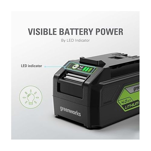  Greenworks 24V 4.0Ah USB Battery (2-Pack) Starter Kit + Dual Port Rapid Charger (Genuine Greenworks Parts)