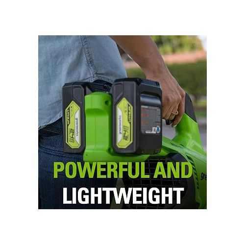  Greenworks 24V 5.0Ah Lithium-Ion Battery (Genuine Greenworks Battery/ 125+ Compatible Tools)