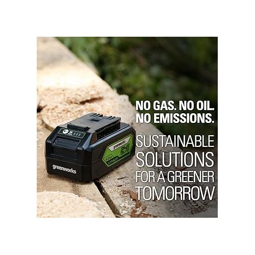  Greenworks 24V 5.0Ah Lithium-Ion Battery (Genuine Greenworks Battery/ 125+ Compatible Tools)