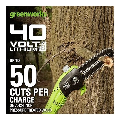  Greenworks 40V 8-Inch Cordless Polesaw, 2.0Ah Battery and Charger Included PS40B210