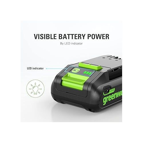  Greenworks 24V 2.0Ah Battery (Genuine Greenworks Battery / 125+ Compatible Tools)