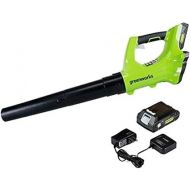 Greenworks 24V Axial Leaf Blower (100 MPH / 330 CFM), 2Ah Battery and Charger Included
