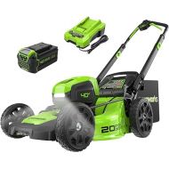 Greenworks 40V 20