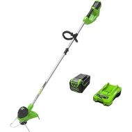 Greenworks ST40B410 Cordless String, 12