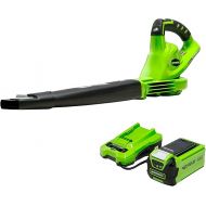 Greenworks 40V (Powerful, Quiet, Lightweight, 1 Hour Rapid Charger, 75+ Compatible Tools), 2.0Ah Battery and Charger