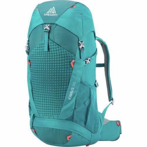 그레고리 Gregory Icarus 30L Backpack - Kids