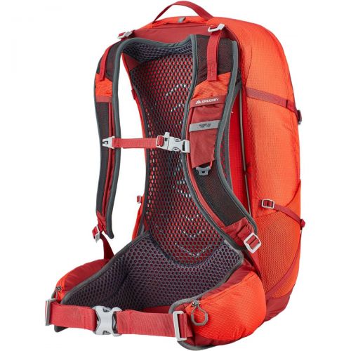 그레고리 Gregory Citro 30L Daypack - Mens