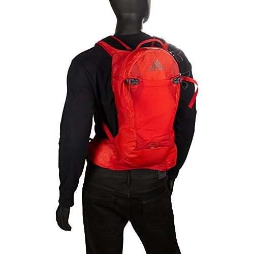 그레고리 [아마존베스트]Gregory Mountain Products Drift 10 Liter 3D-Hydro Mens Mountain Biking Backpack | Downhill, Cross-Country, Commuting | Hydration Bladder, Tool Pouch, Bike Specific | Low-Profile St