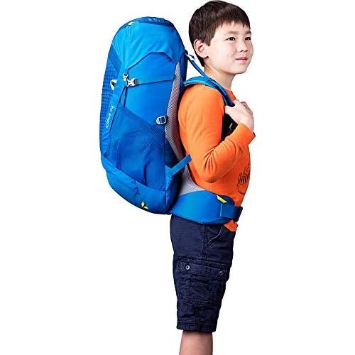 그레고리 [아마존베스트]Gregory Mountain Products Icarus 30 Liter Kids Hiking Backpack