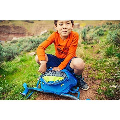 그레고리 [아마존베스트]Gregory Mountain Products Icarus 30 Liter Kids Hiking Backpack