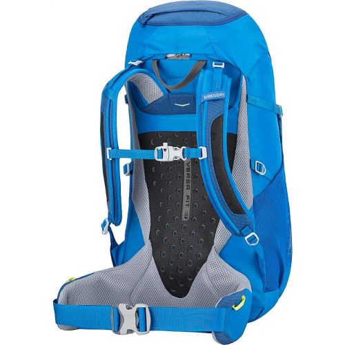 그레고리 [아마존베스트]Gregory Mountain Products Icarus 30 Liter Kids Hiking Backpack