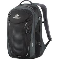 [아마존베스트]Gregory Mountain Products Diode Mens Daypack