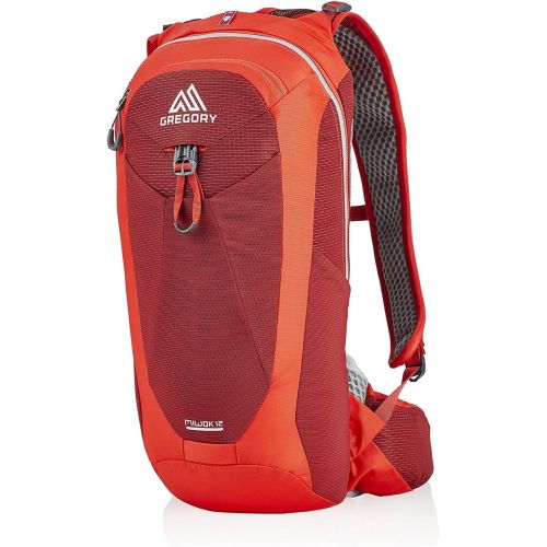 그레고리 Gregory Mountain Products Mens Miwok 12 Hiking Backpack,VIVID RED