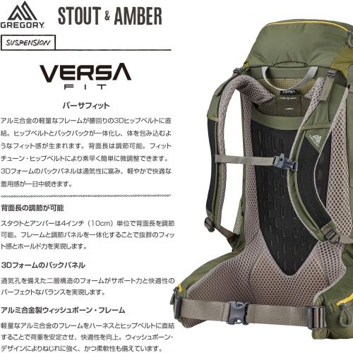 그레고리 Gregory Stout 60L Backpack - Mens