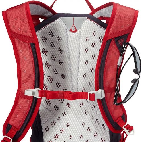 그레고리 Gregory Mountain Products Miwok 12 Liter Mens Day Hiking Backpack | Trail Running, Mountain Biking, Travel | Durable Straps and Hipbelt, Helmet Compatible Pocket | Comfort on The T