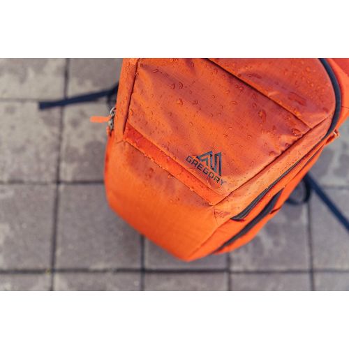 그레고리 Gregory Resin Daypack Backpack