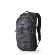 Gregory Nano Daypack Backpack