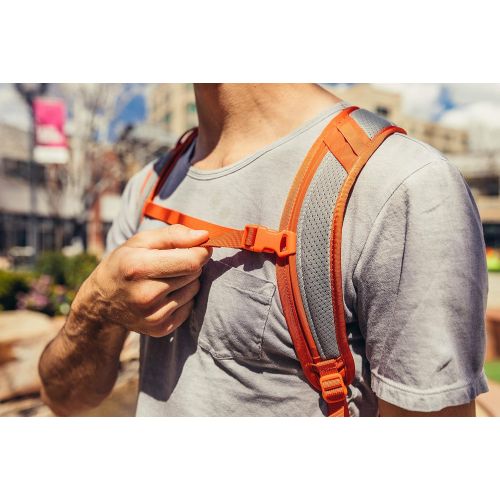 그레고리 Gregory Nano Daypack Backpack