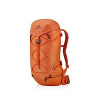 Gregory Mountain Products Alpinisto 28 LT Alpine Backpack
