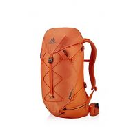 Gregory Alpinisto 38 LT Backpack (M/L)