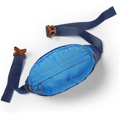 그레고리 Gregory Mountain Products Nano Waistpack,Cobalt Blue,One Size