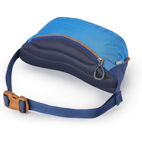 그레고리 Gregory Mountain Products Nano Waistpack,Cobalt Blue,One Size