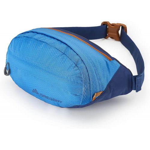 그레고리 Gregory Mountain Products Nano Waistpack,Cobalt Blue,One Size