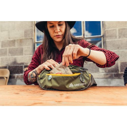 그레고리 Gregory Mountain Products Nano Waistpack Mini