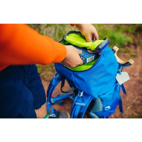 그레고리 Gregory Mountain Products Icarus 40 Liter Kids Hiking Backpack