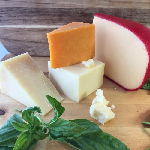  Grow and Make DIY Hard Cheese Kit - Learn how to make Gouda, Colby, Manchego and Cheddar Cheese at home!