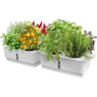 GrowLED Hydroponic Grow Box Kit Self Watering Planter Pots Window Box Hydroponics Grow System Indoor Home Garden Modern Decorative Planter Pot, White, Pack of 2 (Smart Soils Includ