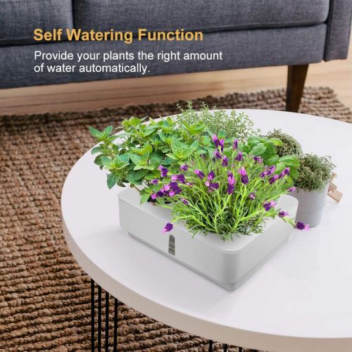  GrowLED Hydroponic Grow Box Kit Self Watering Planter Pots Window Box Hydroponics Grow System Indoor Home Garden Modern Decorative Planter Pot, White, Pack of 2 (Smart Soils Includ