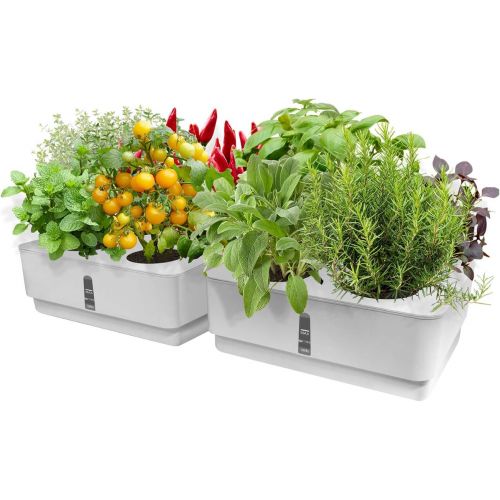  GrowLED Hydroponic Grow Box Kit Self Watering Planter Pots Window Box Hydroponics Grow System Indoor Home Garden Modern Decorative Planter Pot, White, Pack of 2 (Smart Soils Includ